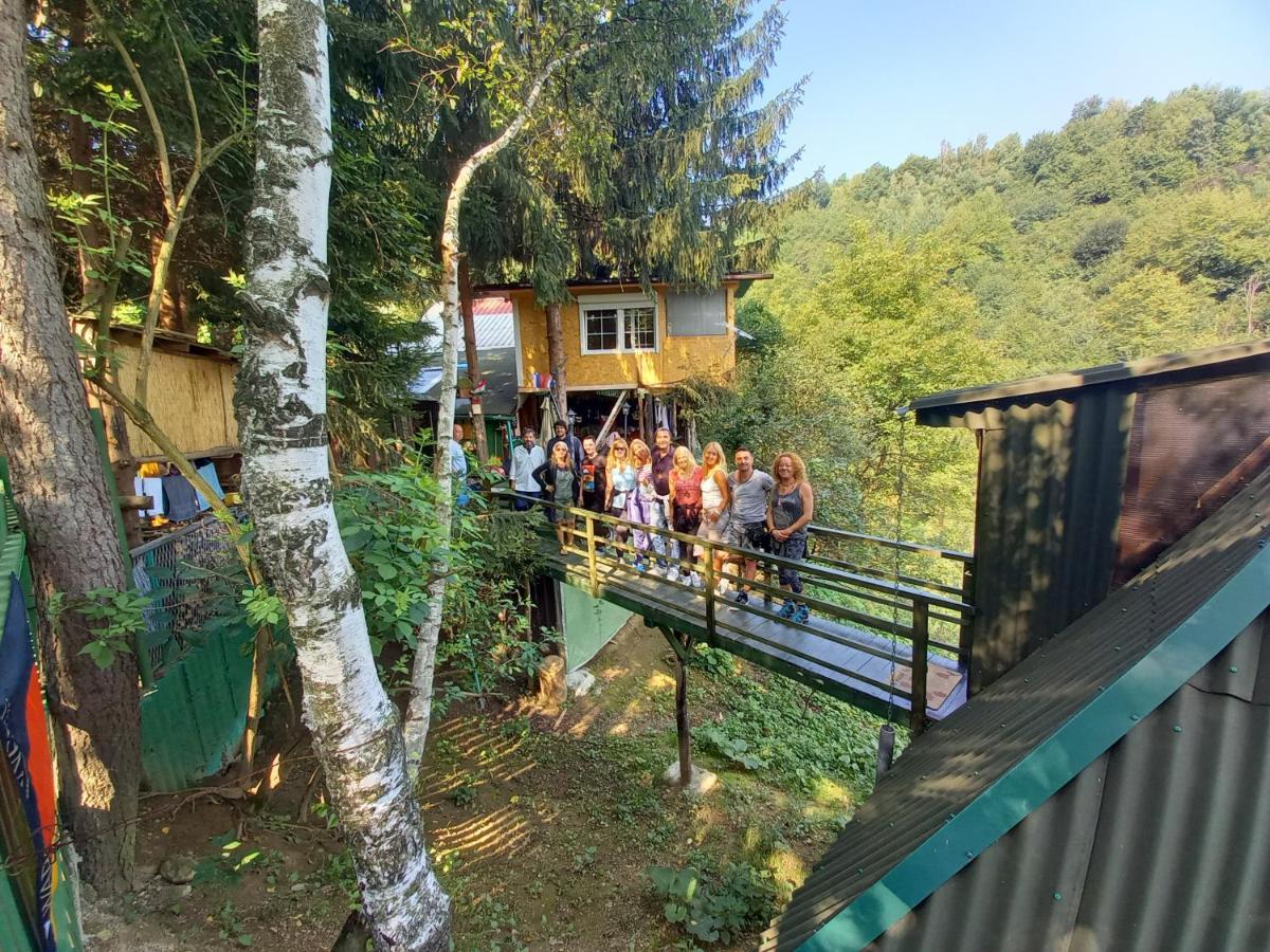 Tree House Daire Visoko Dış mekan fotoğraf