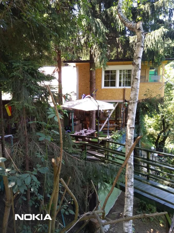Tree House Daire Visoko Dış mekan fotoğraf