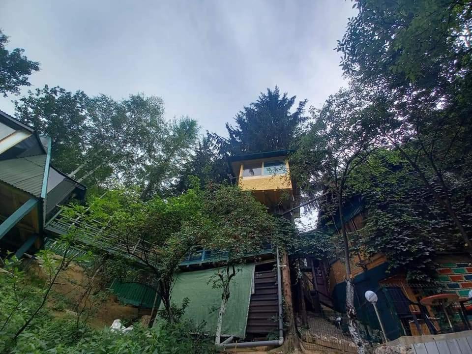 Tree House Daire Visoko Dış mekan fotoğraf